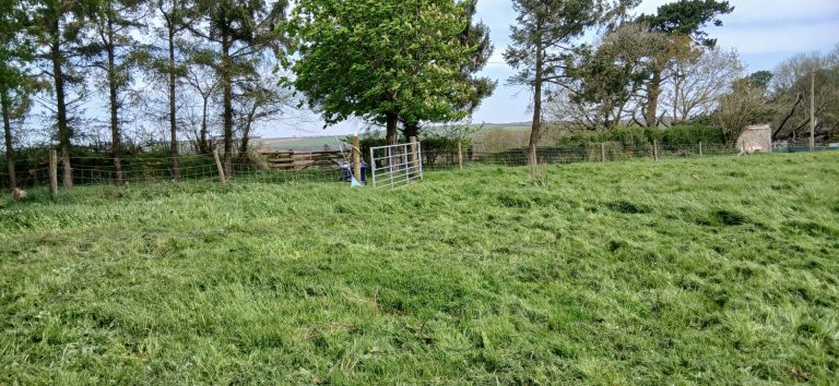 Pitch1 view to the honesty shop