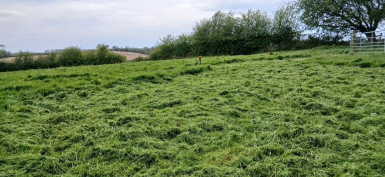 Pitch 5 view to gate