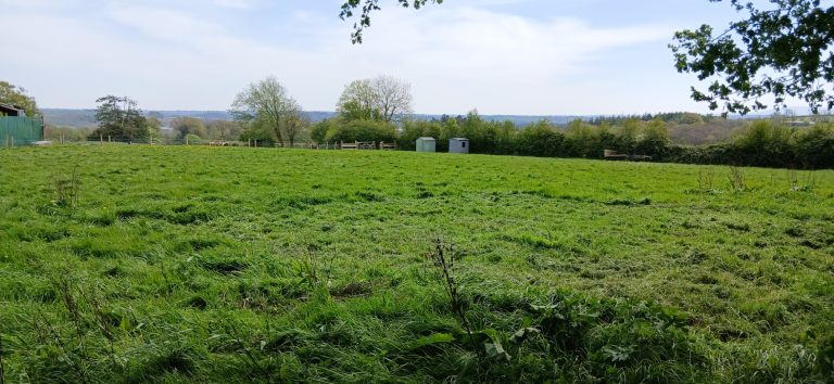 Pitch1 view to the toilets