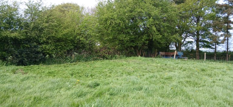 Pitch1 corner view