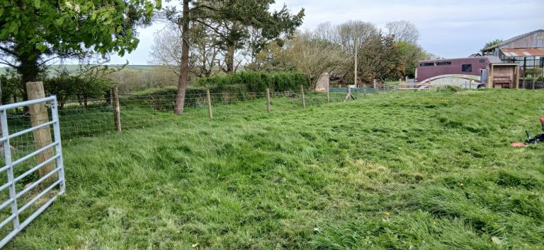 Pitch 5 from the entrance